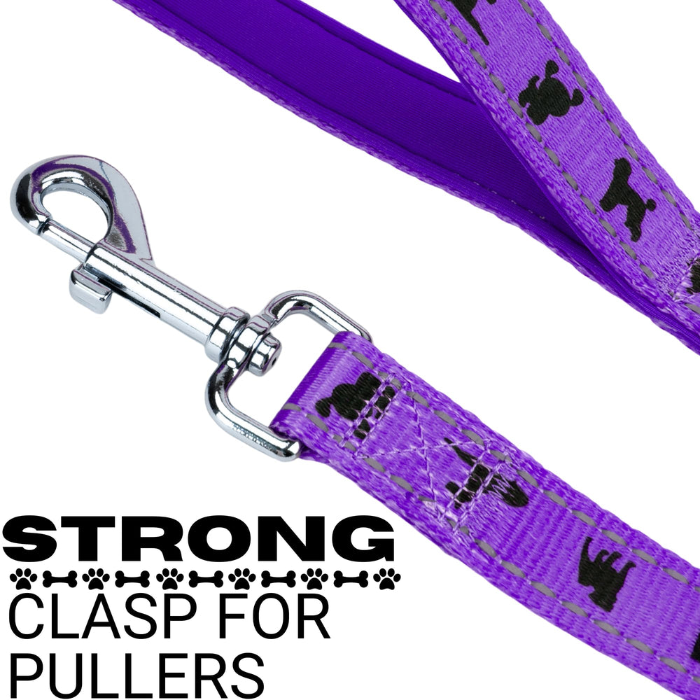 EcoBark dog leash with reflective stitching for safer evening walks.
