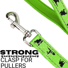 EcoBark dog leash reflective-stitching at night enhances visibility during evening strolls.