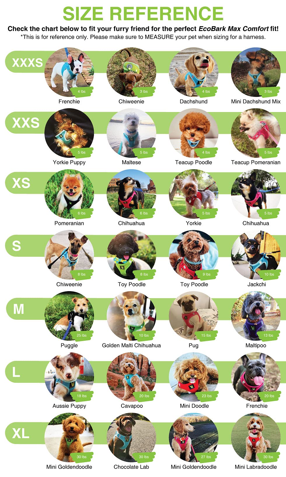 EcoBark dog-model wearing harness demonstrates versatile size fit for breeds.