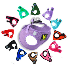EcoBark small dog harness step-in lavender demonstrates secure daily wear for puppies