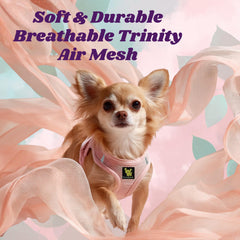 EcoBark harness with reflective strips ensuring visibility during evening walks.