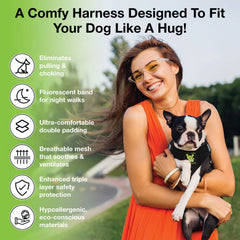 EcoBark Step In harness adjustable straps on a small dog for secure fit.