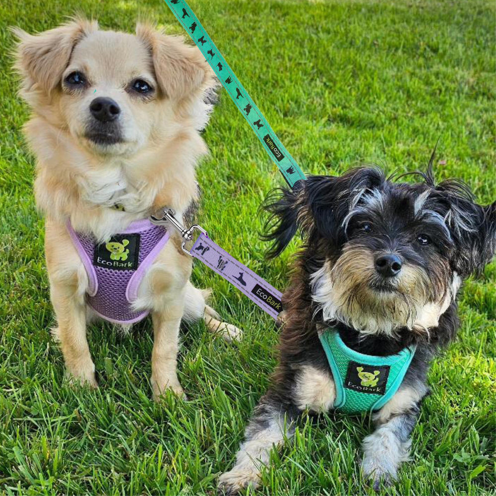 EcoBark Step in Harness quick-on-off over-head design simplifies dressing.