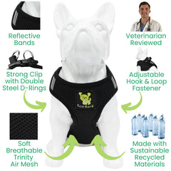 EcoBark Step In soft mesh harness showcases breathable daily wear for small dogs.