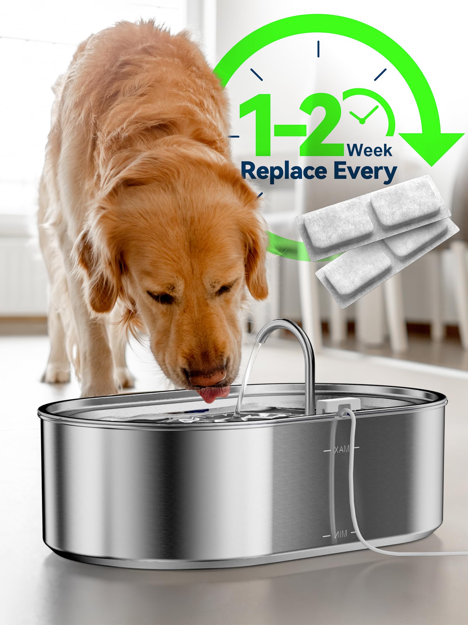 ECOCONUT deeper and wider drinking-area design supports comfortable lapping for big dogs