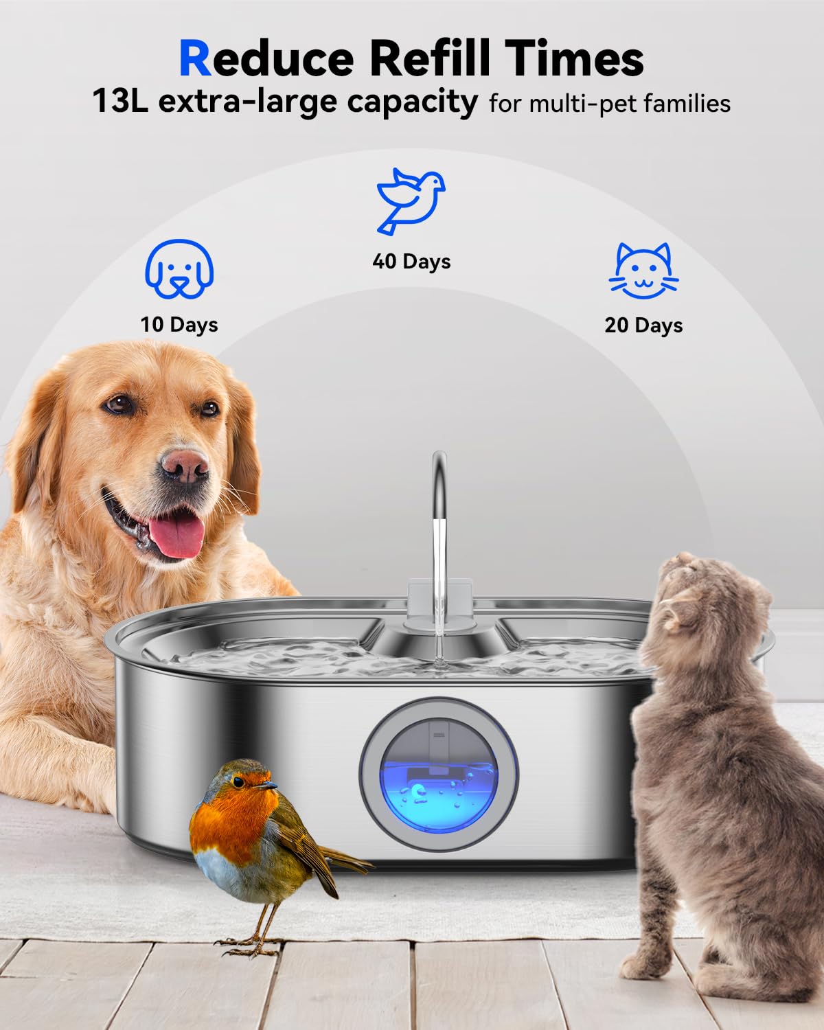 ECOCONUT large-dog fountain, deeper tray for comfortable, splash-free drinking.
