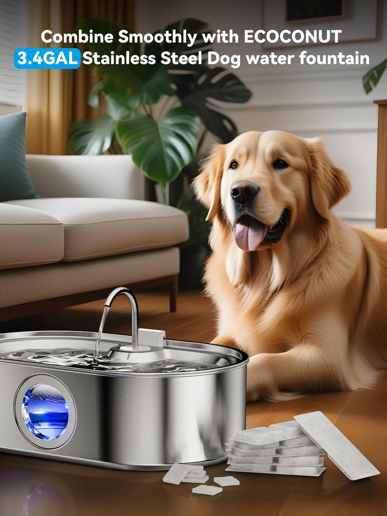 ECOCONUT large-dog fountain top view shows easy-access drinking design for daily hydration