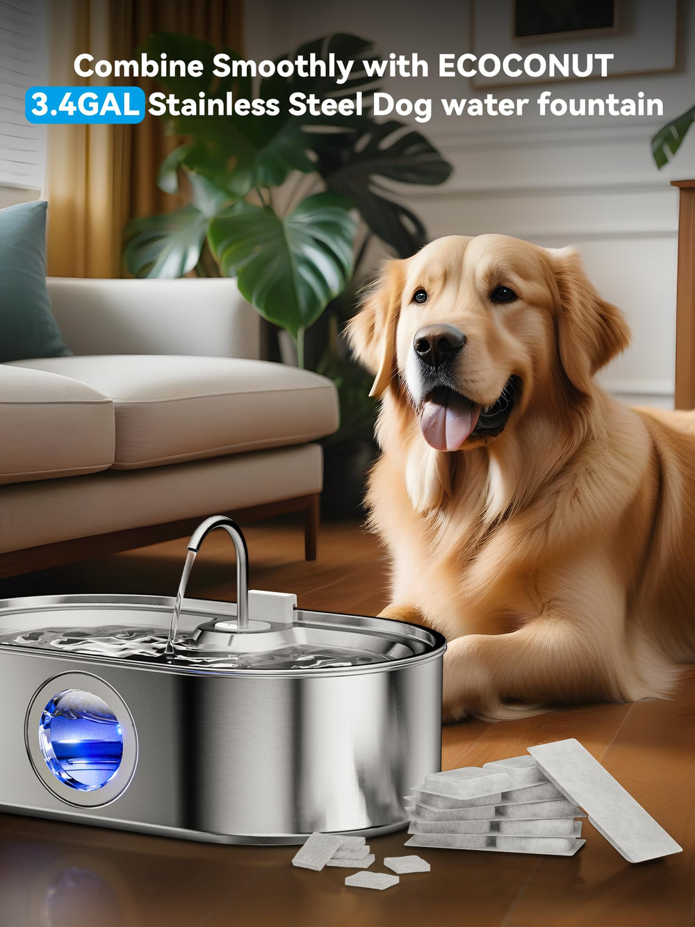 ECOCONUT large-dog fountain top view shows easy-access drinking design for daily hydration