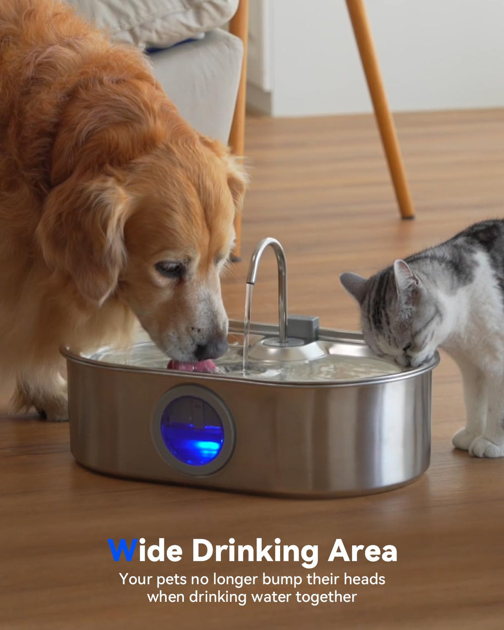 ECOCONUT water window indicator light helps monitor water level at a glance.