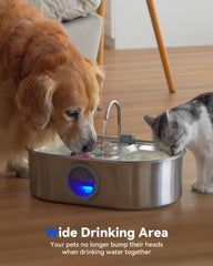 ECOCONUT water window indicator light helps monitor water level at a glance.