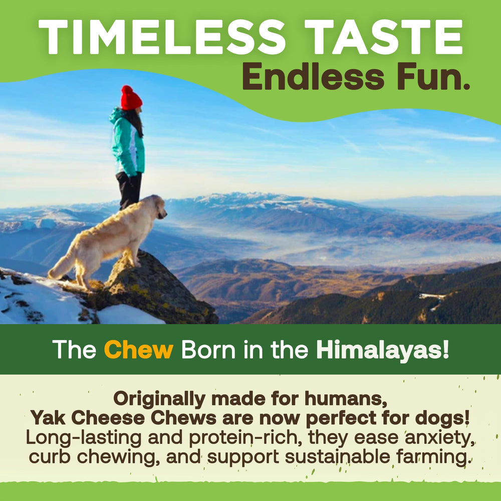 EcoKind Premium Gold Yak Cheese Himalayan Dog Chew contains no binding agents or preservatives.