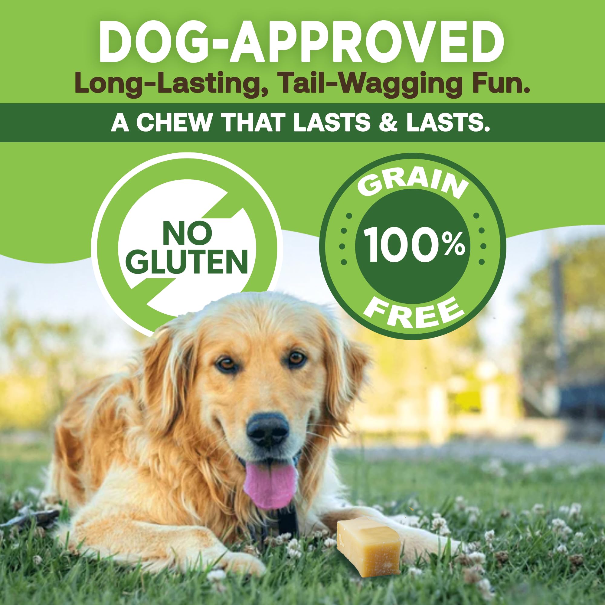 EcoKind Premium Gold Yak Cheese Himalayan Dog Chew made from pasteurized milk with no artificial ingredients.