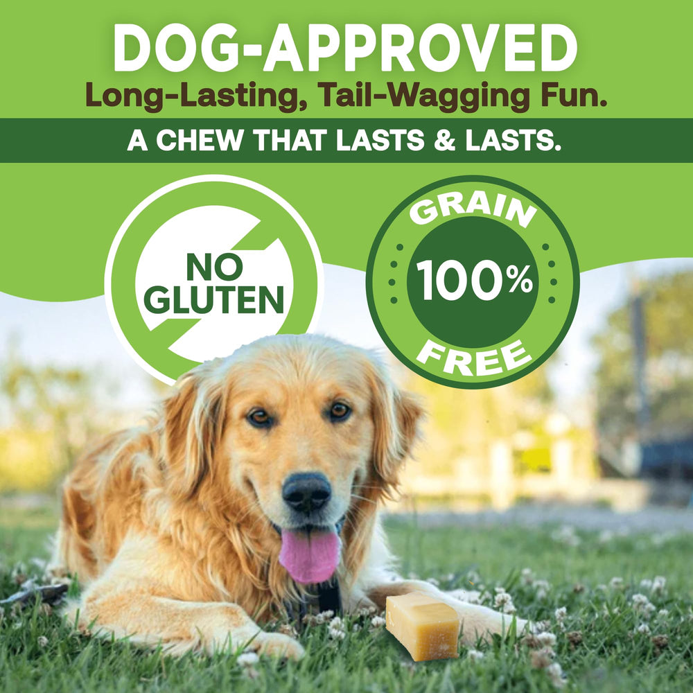 EcoKind Premium Gold Yak Cheese Himalayan Dog Chew made from pasteurized milk with no artificial ingredients.
