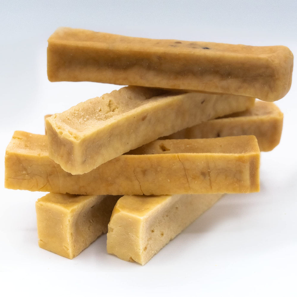 Dog chewing EcoKind Premium Gold Yak Chews during playtime.