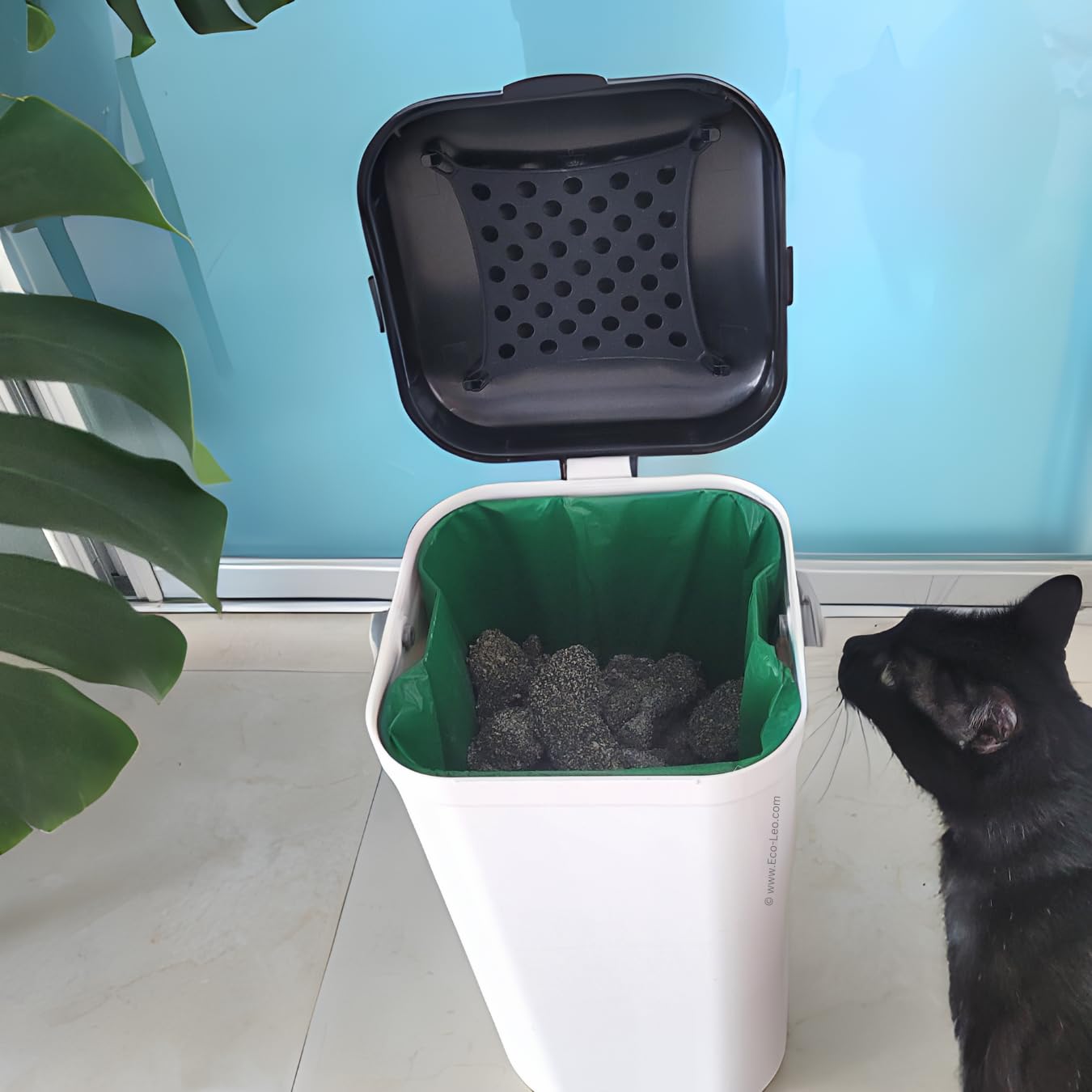 EcoLeo supports rescue projects with donations from sales.