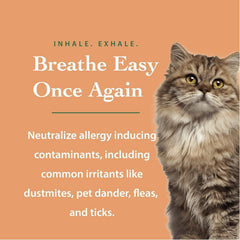 The Ecology Works anti-allergen pet shampoo soft-coat after-wash highlights a softer fur look.