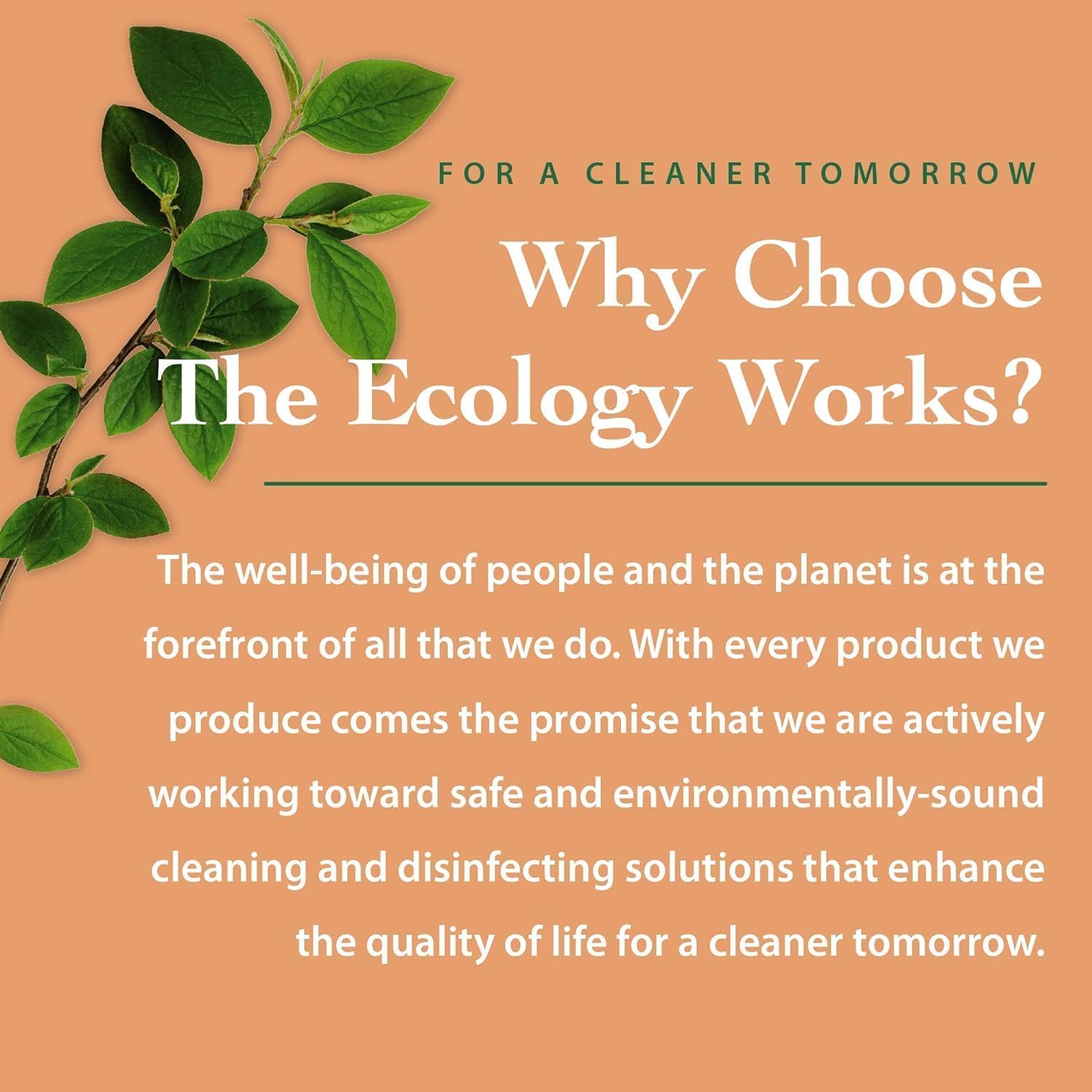 The Ecology Works biodegradable packaging closeup reveals eco-friendly packaging.