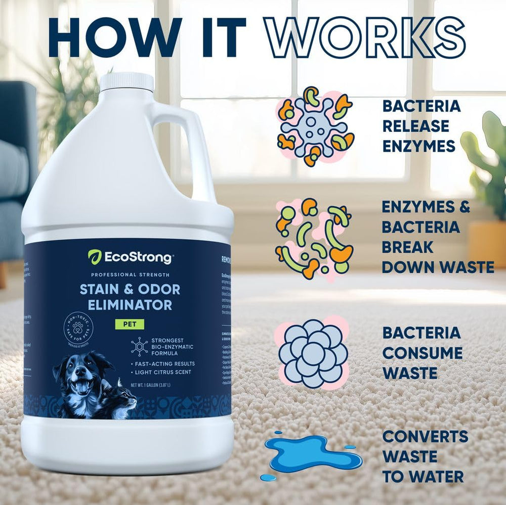Eco Strong carpet and rug cleaner is versatile on carpets and area rugs