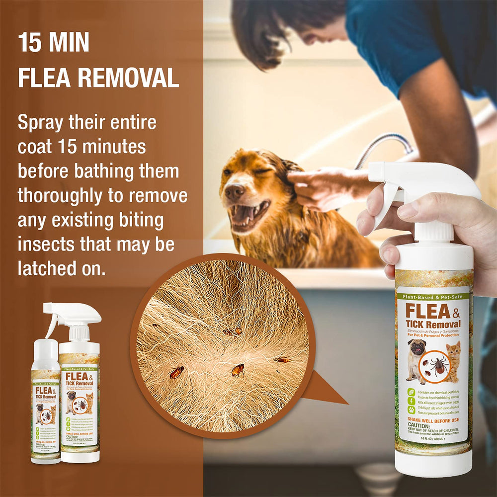 EcoVenger spray in a home setting offers safe, non-toxic pest control