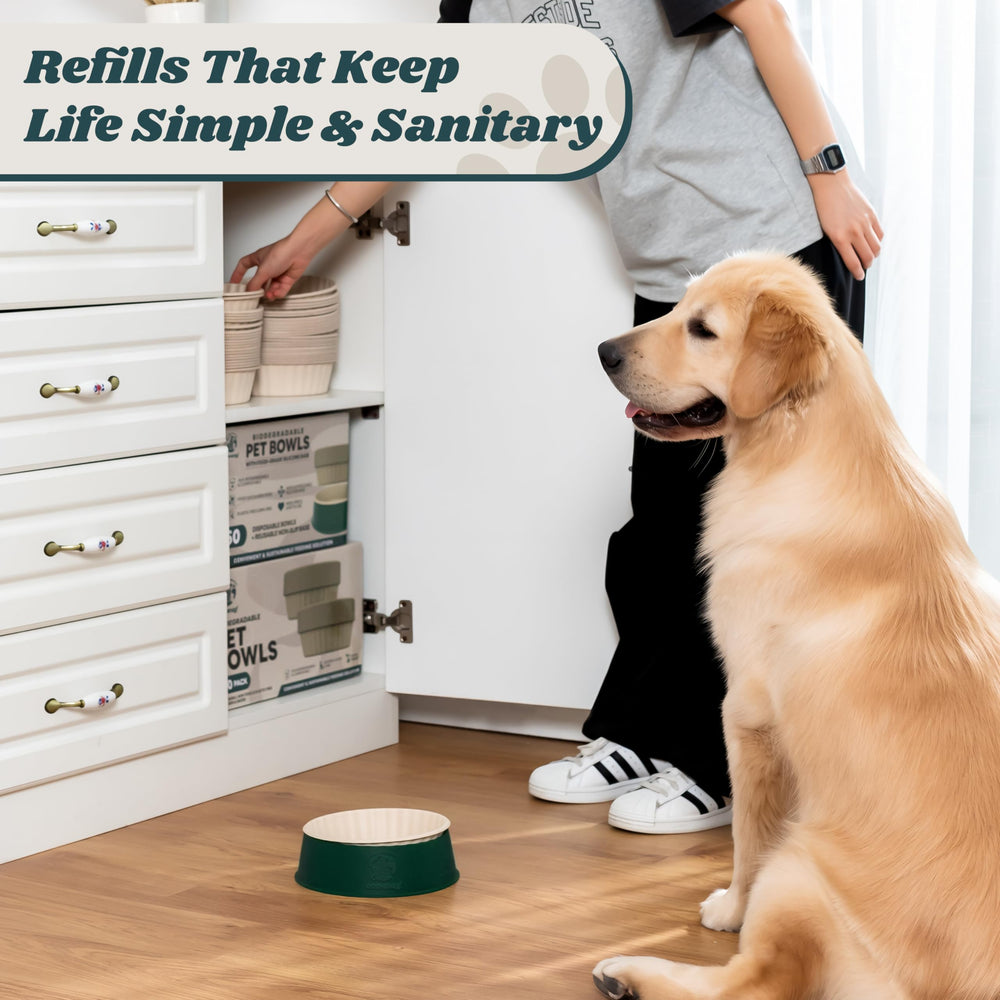 EcoWag leak-resistant refills demonstrate sturdy, drip-free feeding.