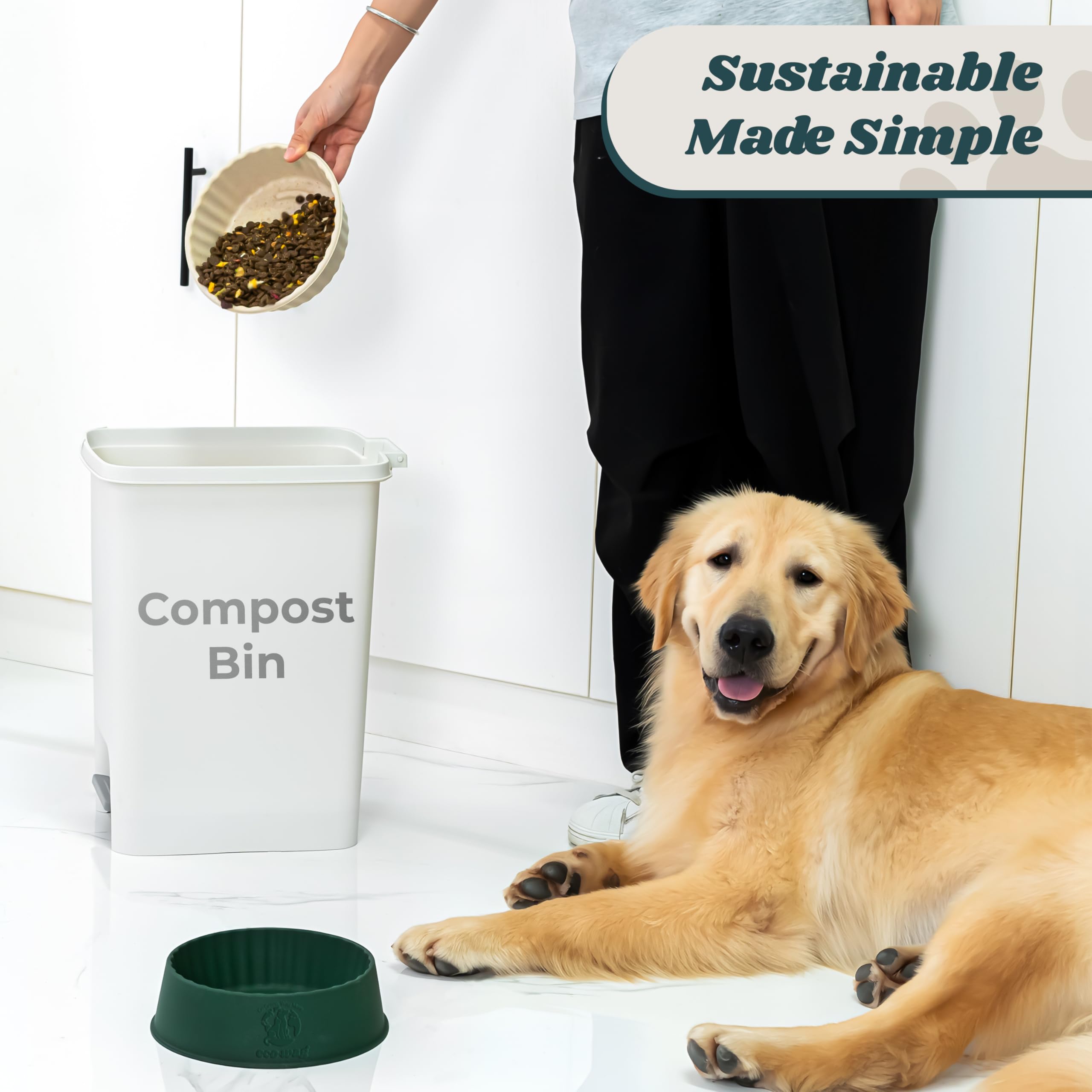 EcoWag mealtime scene with pets emphasizes cleaner, easier daily feeding rituals