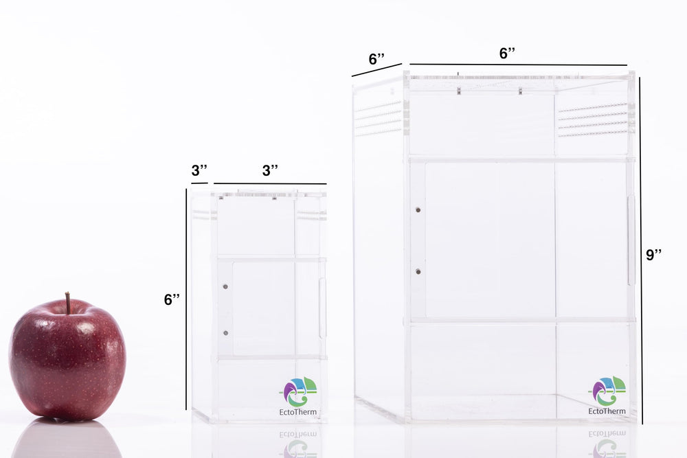 EctoTherm jumping spider enclosure side view showcases clear acrylic for full observation.