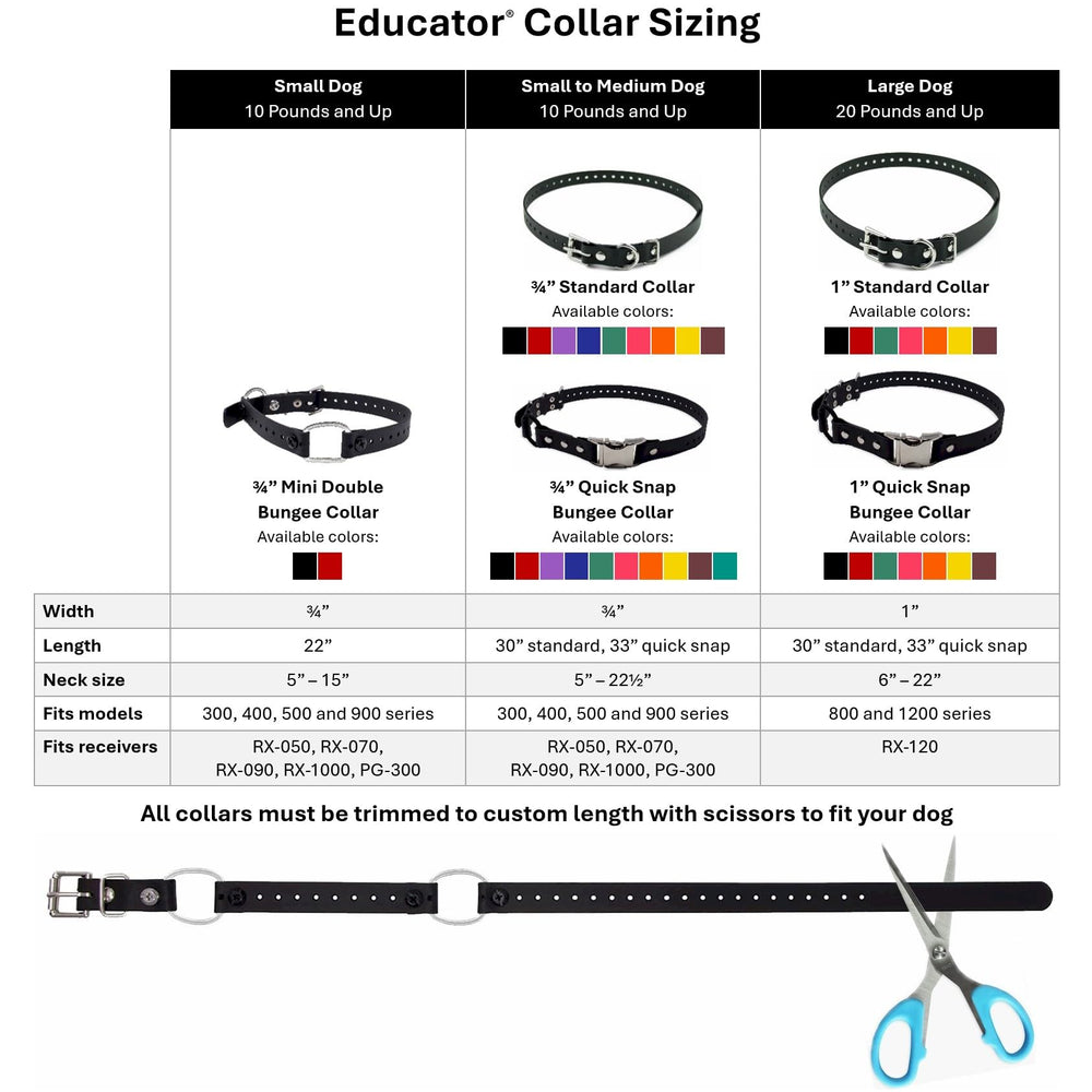 Educator Biothane collar green comfortable everyday wear for dogs