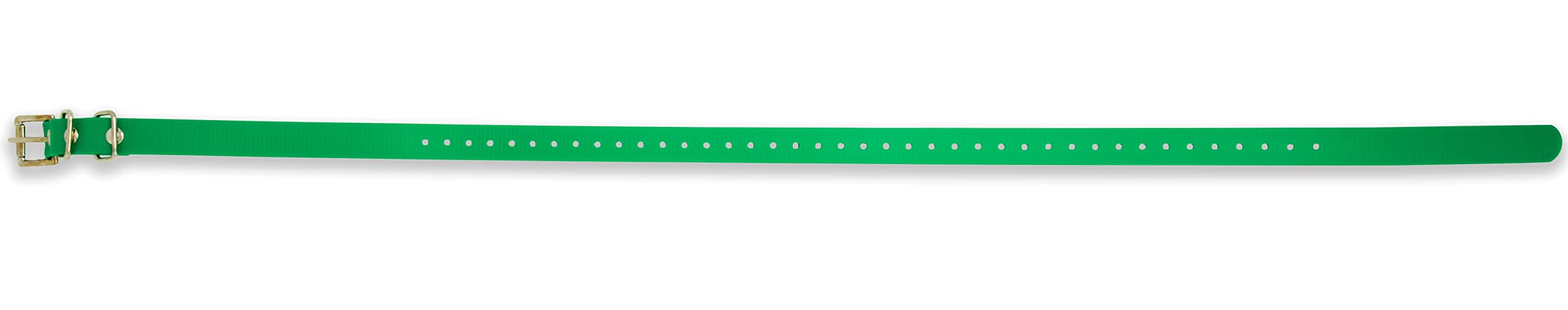 Educator Biothane collar green length-adjustment close-up for custom fit