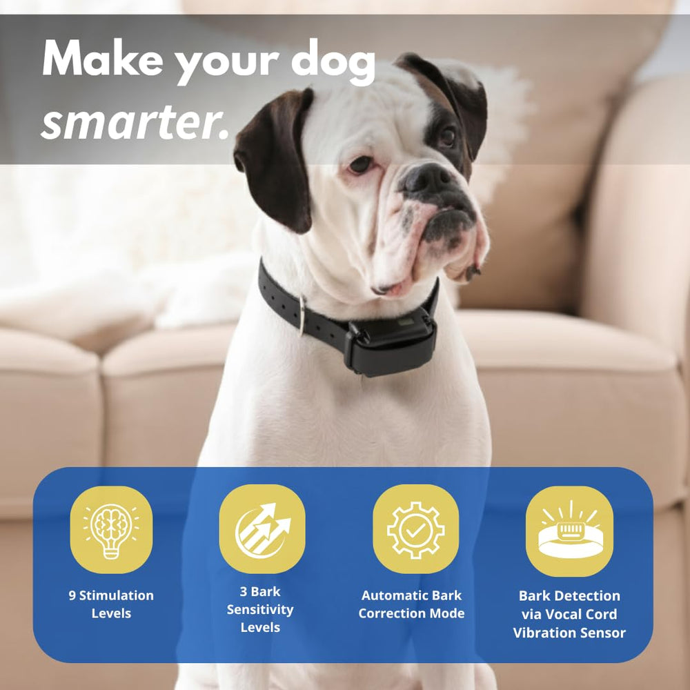 Educator BP-504 waterproof collar on dog in rain demonstrates rugged design