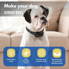 Educator BP-504 waterproof collar on dog in rain demonstrates rugged design