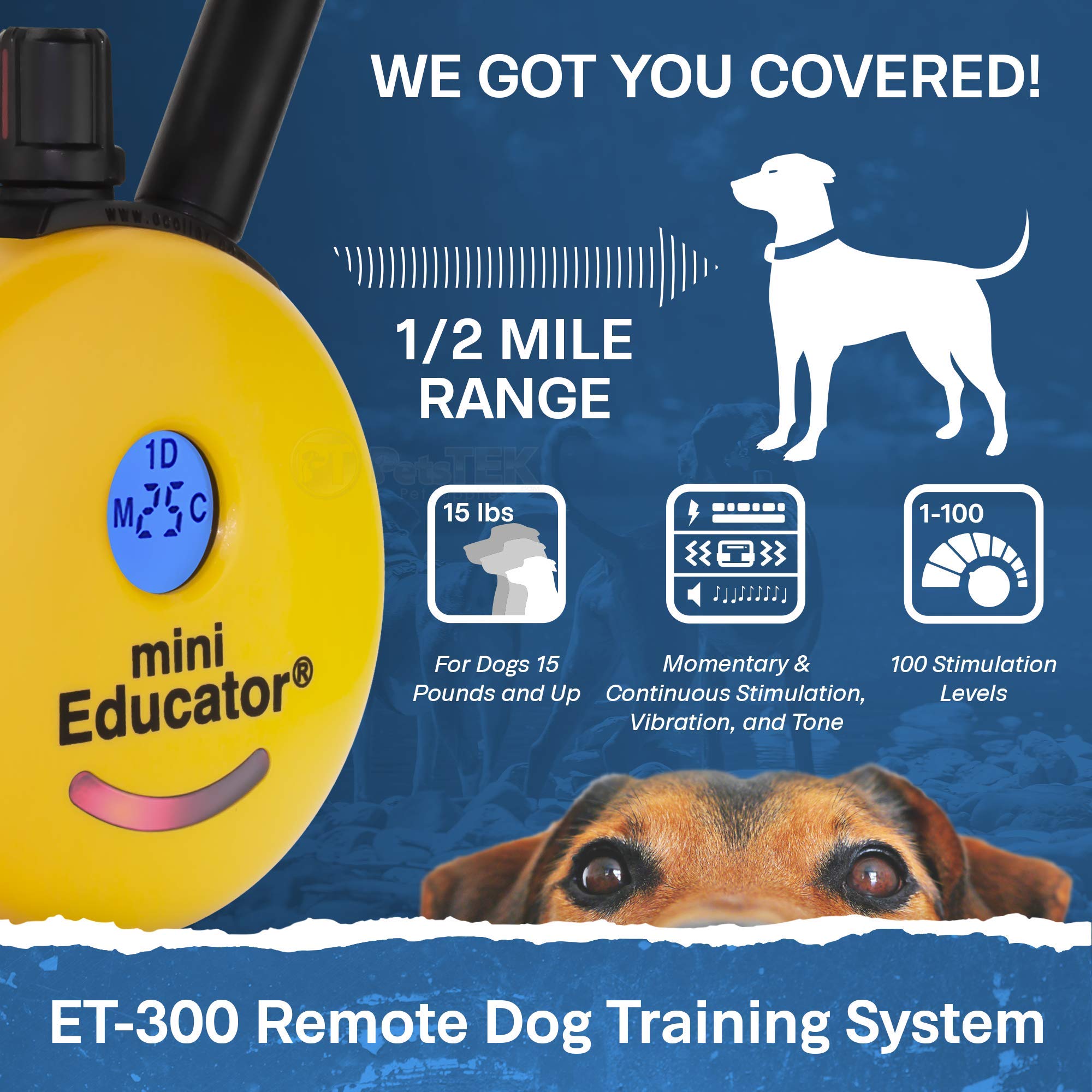 Educator ET-300 collar shown on a dog with adjustable neck for comfortable fit.