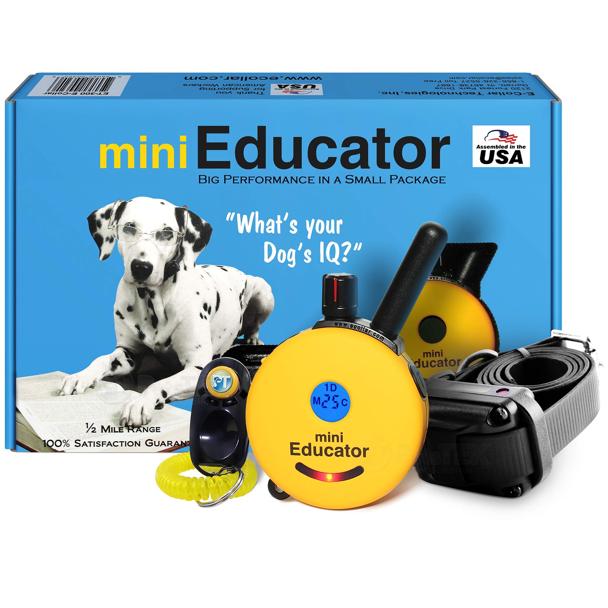 Educator ET-300 mini e-collar with remote for gentle recall training outdoors.