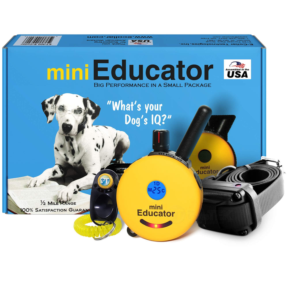 Educator ET-300 mini e-collar with remote for gentle recall training outdoors.
