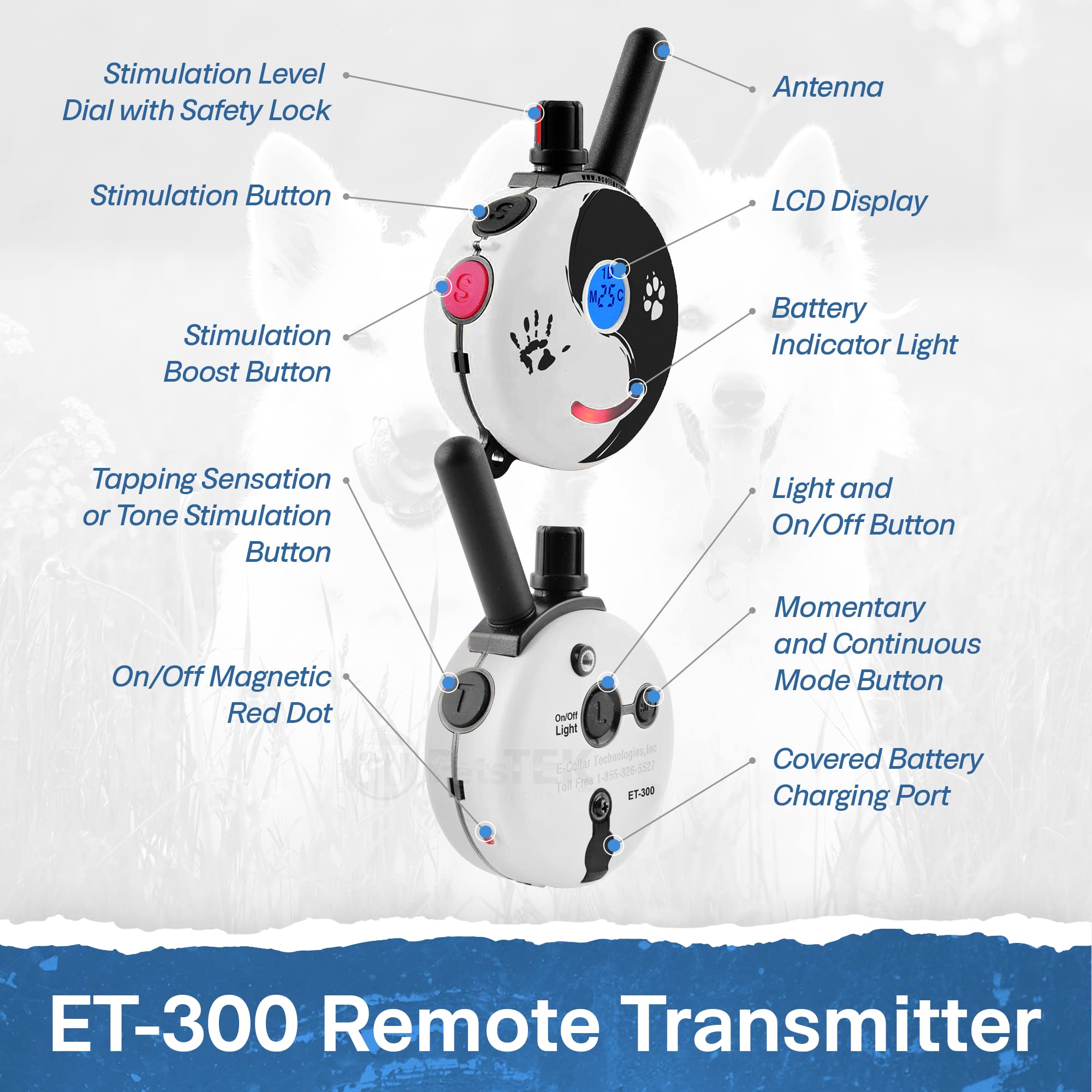 Educator ET-300 Zen Mini collar with night-light tracking for low light.