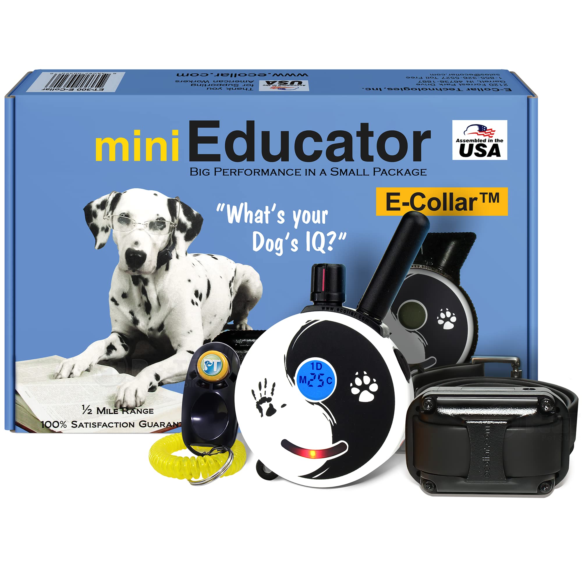 Educator ET-300 Zen Mini collar on a dog for remote training during walks.