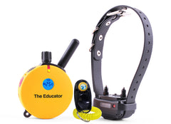 Educator ET-400 collar receiver shown on a dog for durable daily training