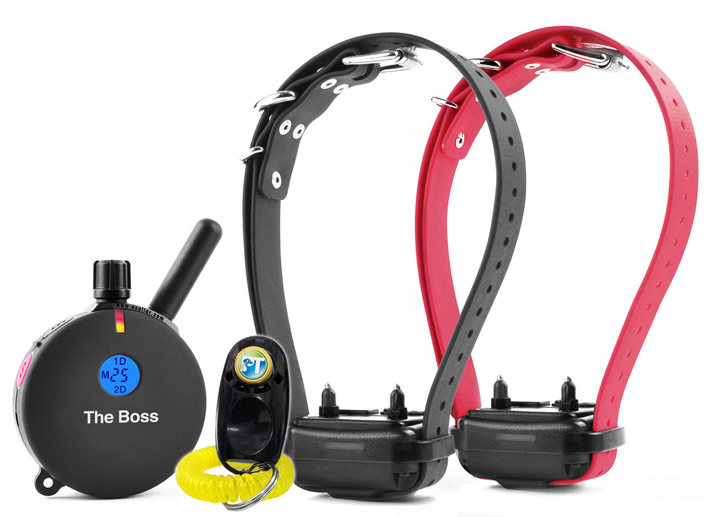 Educator ET-802 two-dog trainer remote enables effortless multi-dog training at distance.