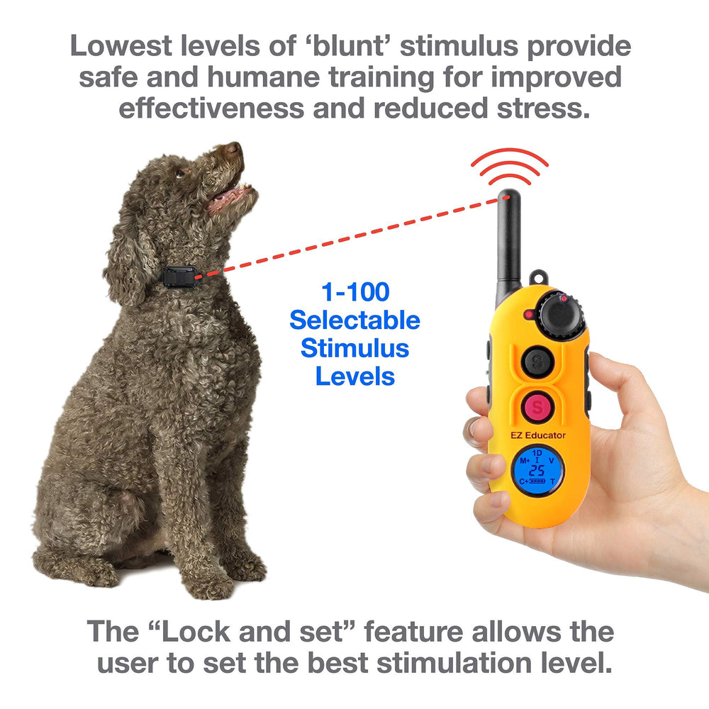 Educator EZ-903 odorproof Biothane collar worn on dog for durability and easy cleaning