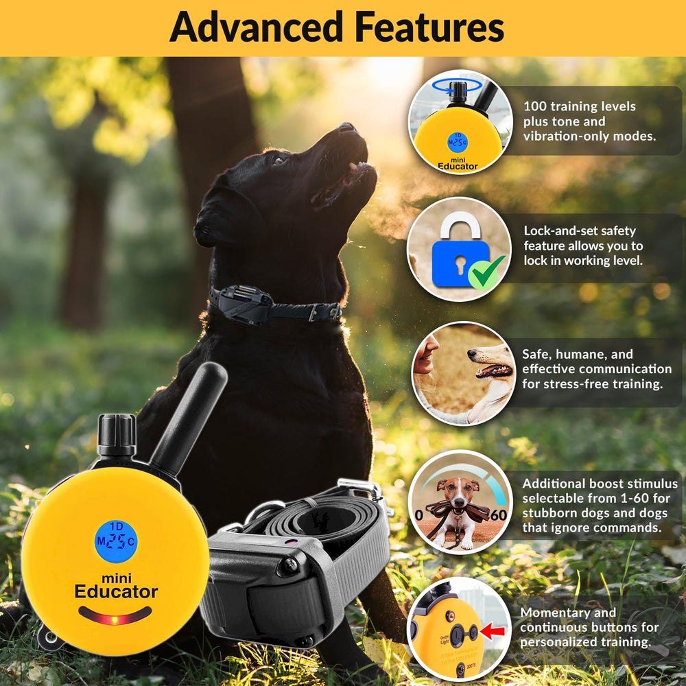 Educator Mini ET-300 receiver close-up highlights compact design for small dogs.