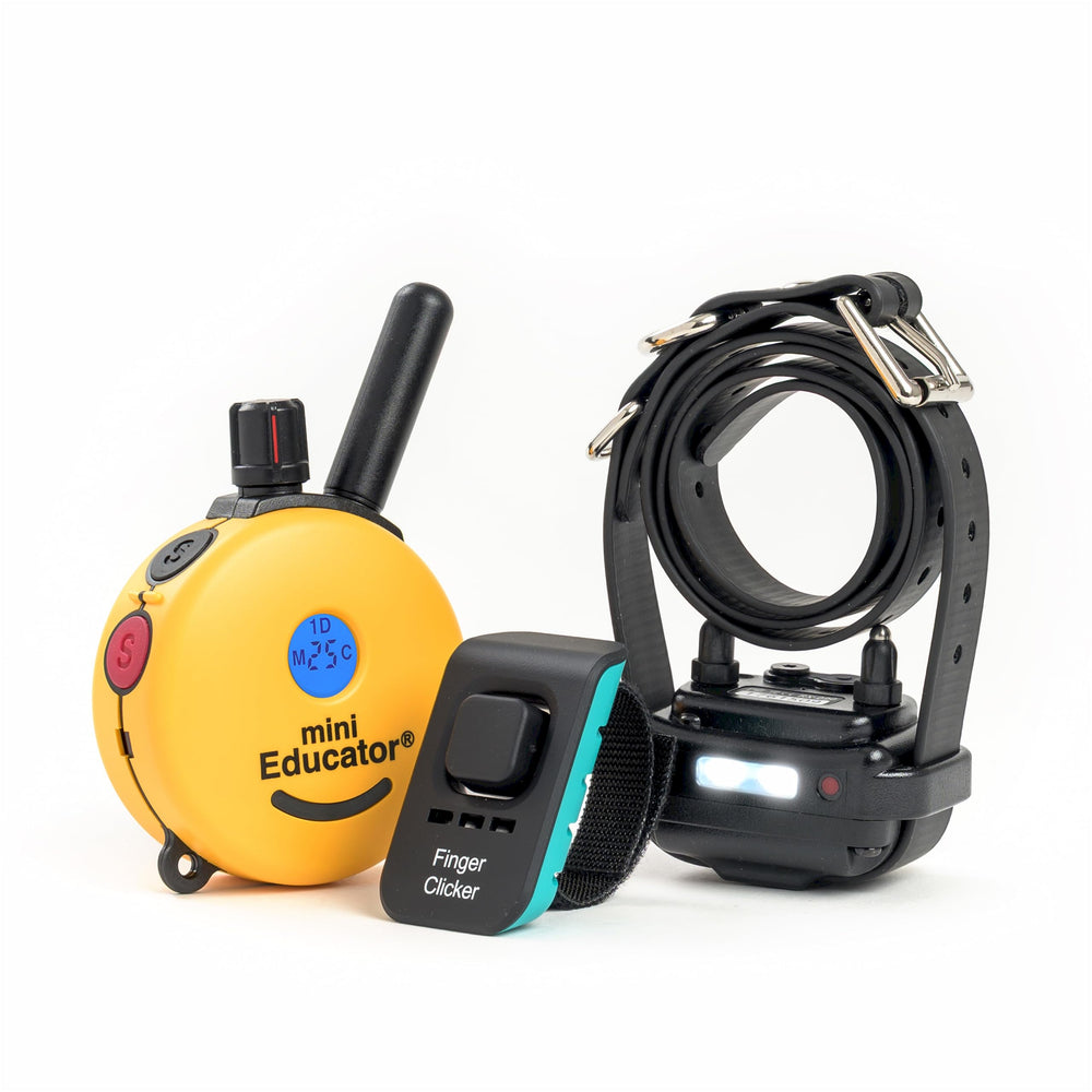 Educator Mini ET-300 remote front view for discreet, comfortable training sessions.