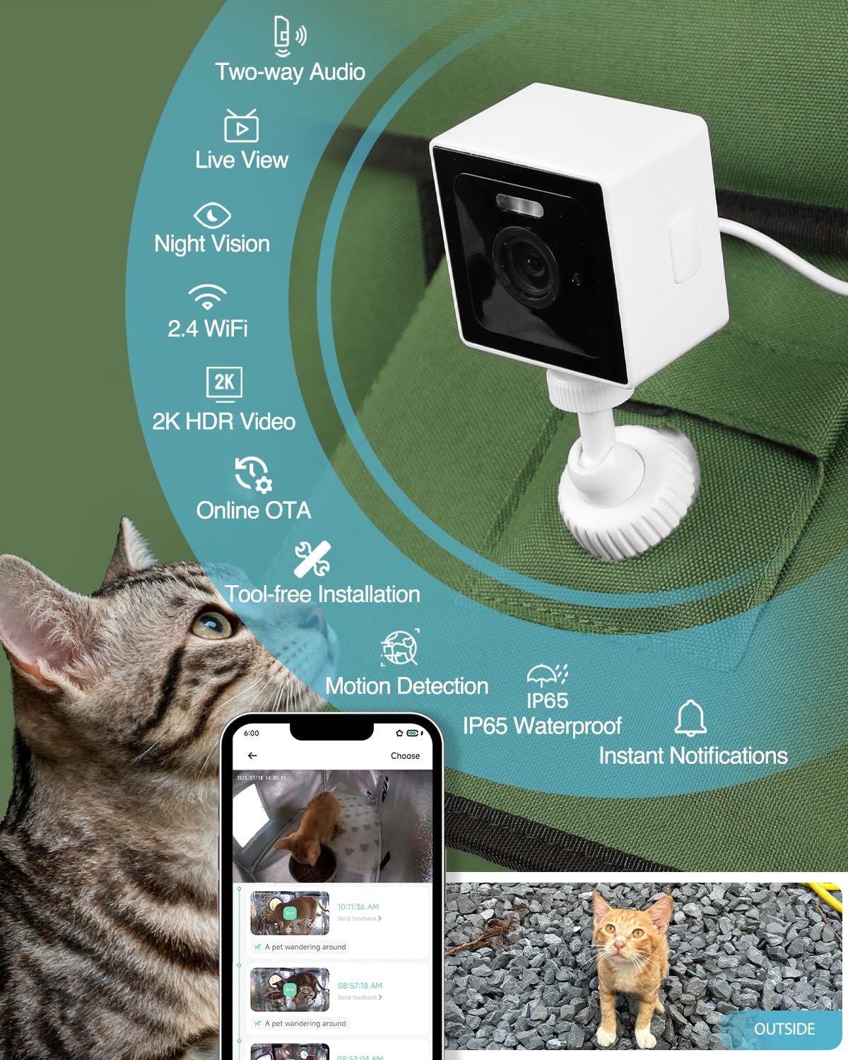 eekkii cat camera motion-detection alert triggers real-time notifications