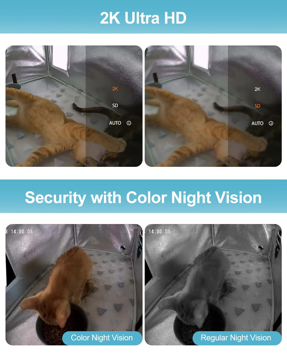 eekkii cloud storage and SD option preserves footage securely