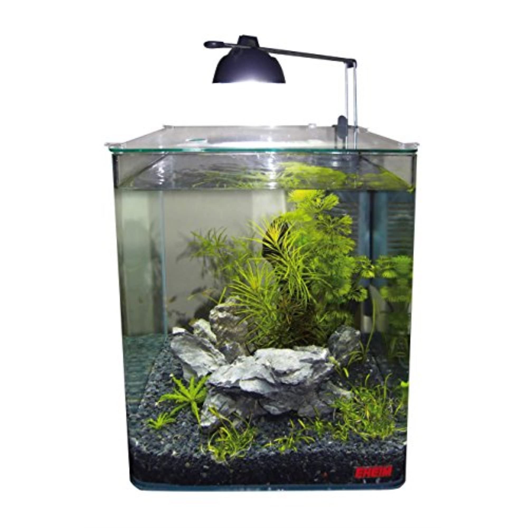 Eheim COMPACTON 1000 in freshwater tank demonstrates quiet, efficient operation