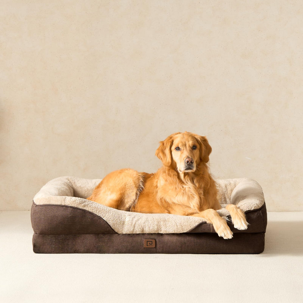 EHEYCIGA bed-for-extra-large-dogs demonstrates ample space for big breeds to stretch.