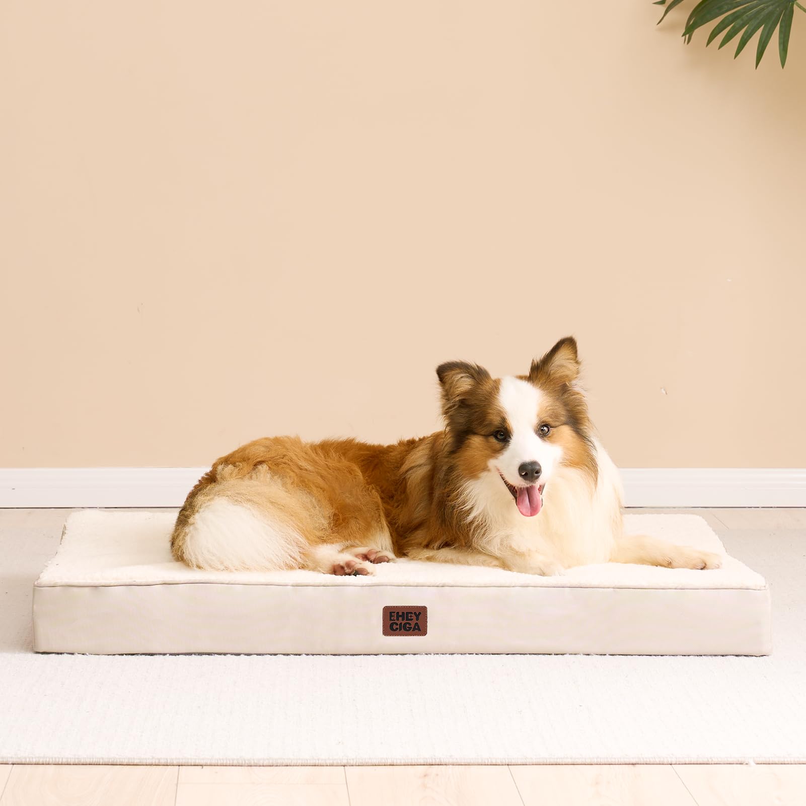 EHEYCIGA bed on floor scene illustrating space-friendly large-dog solution
