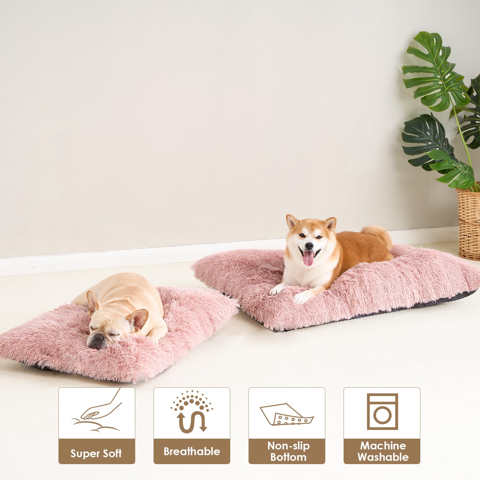 EHEYCIGA compact bed expands after unpacking for easy setup