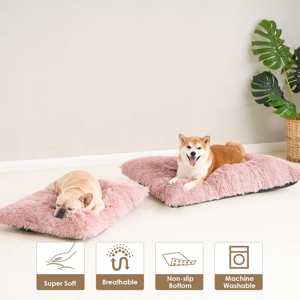 EHEYCIGA compact bed expands after unpacking for easy setup