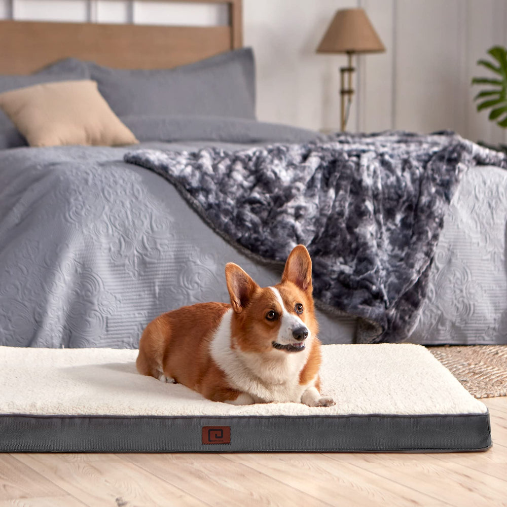 EHEYCIGA bed measures 47x29 inches for big-breed comfort.