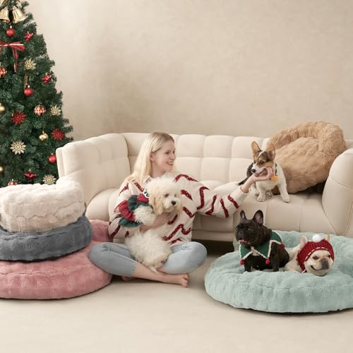EHEYCIGA cozy living room setup with dog and cat enjoying the bed
