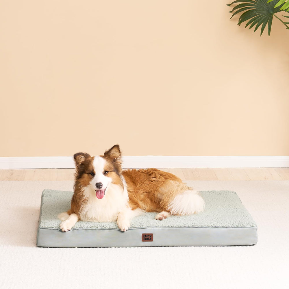 EHEYCIGA dog relaxing on bed illustrating roomy comfort for jumbo breeds.